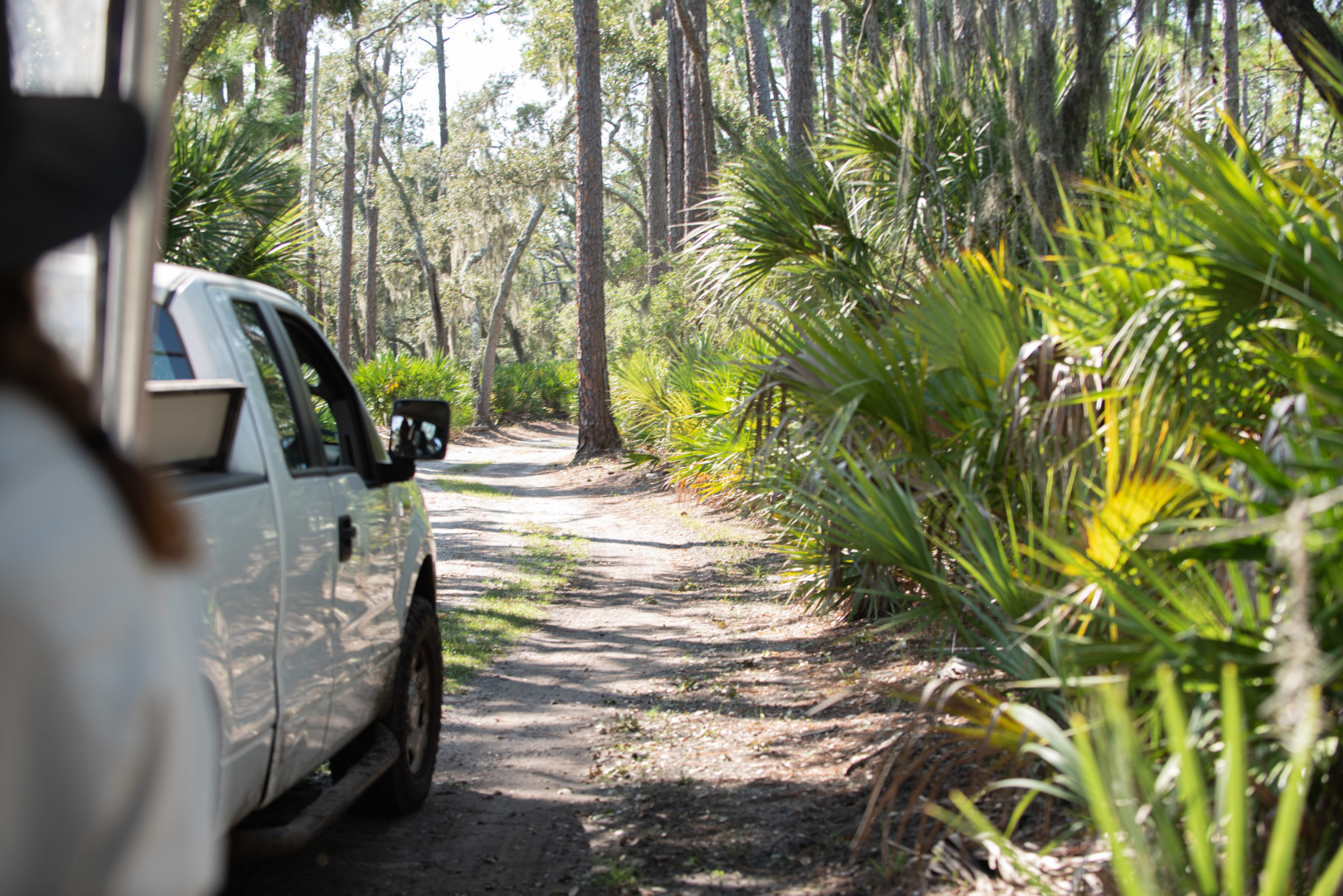 St. Phillips Island - The Beaufort Inn, South Carolina 